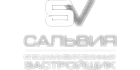 Сальвия